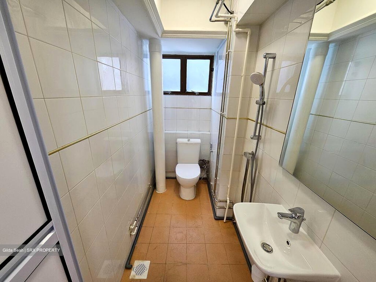 Dunearn Road (D11), Condominium #482575991